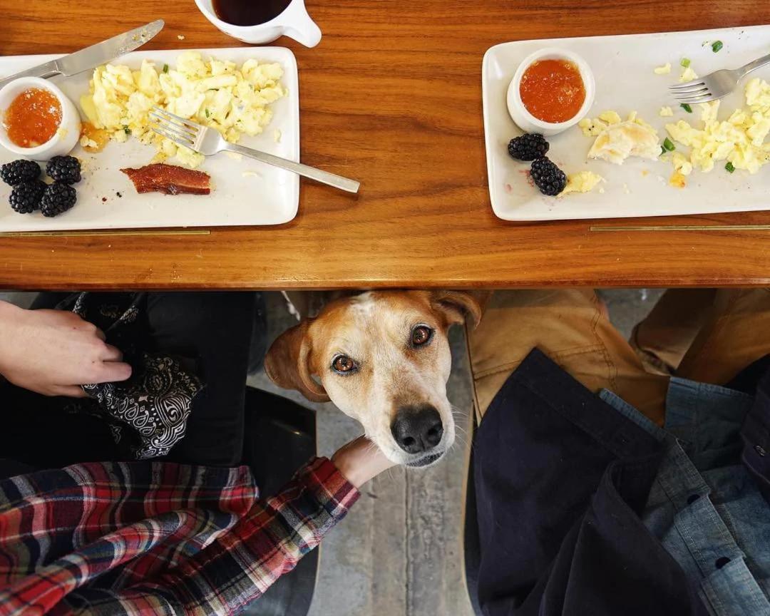 Abode Nashville - Germantown Bagian luar foto